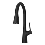 Neera Pull-Down Kitchen Faucet 