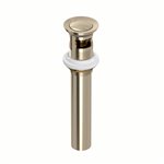 ROHL Push Drain With Overflow