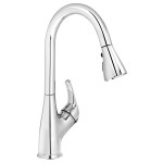 Kindred KFPD3100 Gooseneck pull down spray faucet Chrome