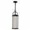 CWI Greenwood LED Outdoor Black Pendant