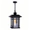 CWI Blackburn 1 Light Outdoor Black Pendant