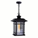 CWI Blackburn 1 Light Outdoor Black Pendant