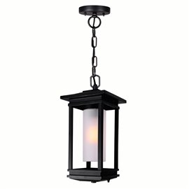 CWI Granville 1 Light Black Outdoor Hanging Light