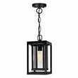 CWI Mulvane 1 Light Black Outdoor Hanging Light