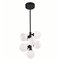 CWI Arya 8 Light Pendant With Black Finish
