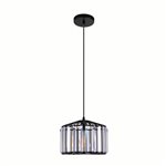 CWI Arya 25 Light Chandelier With Black Finish