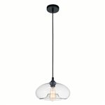 CWI Glass 1 Light Down Mini Pendant With Finish