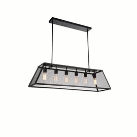 CWI Macleay 6 Light Down Chandelier With Black Finish