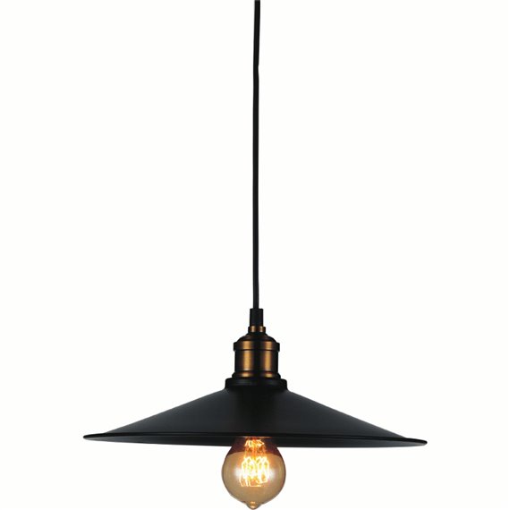 CWI Brave 1 Light Down Mini Pendant With Black Finish