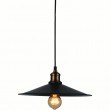 CWI Brave 1 Light Down Mini Pendant With Black Finish