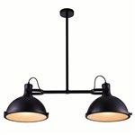 CWI Strum 2 Light Island Chandelier With Black Finish