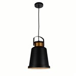 CWI Elisa 1 Light Down Pendant With Black Finish