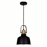 CWI Elisa 1 Light Down Pendant With Black Finish