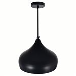 CWI Dynamic 1 Light Down Pendant With Black Finish