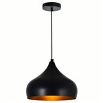 CWI Dynamic 1 Light Down Pendant With Black Finish