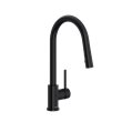 Riobel Joli JL101-15 Kitchen Faucet With Spray