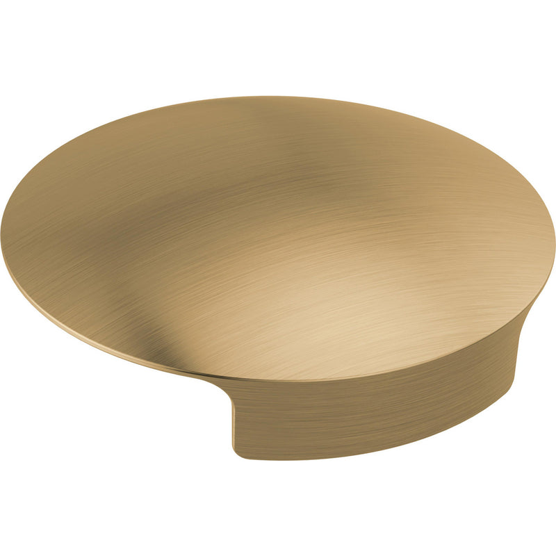 DELTA RP101289 METAL GLASS RINSER COVER
