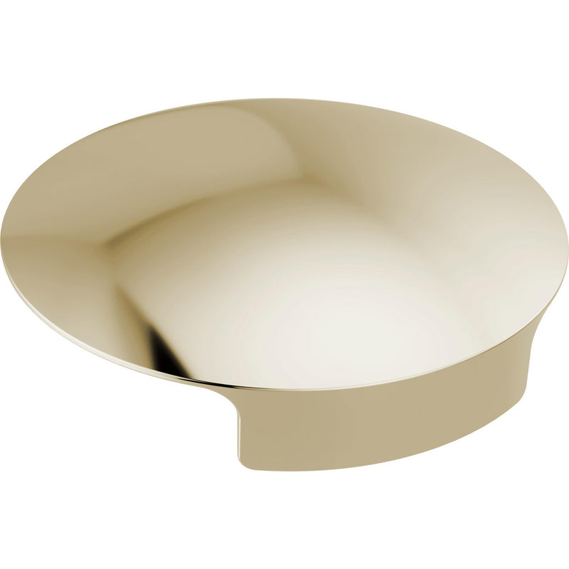 DELTA RP101289 METAL GLASS RINSER COVER