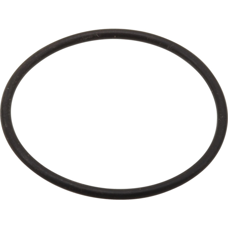 DELTA RP54975 LAHARA O-RING