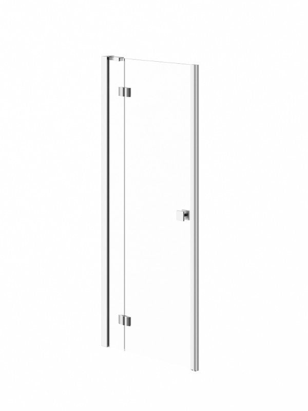 Neptune ZEN Shower Door - Pivot Doors
