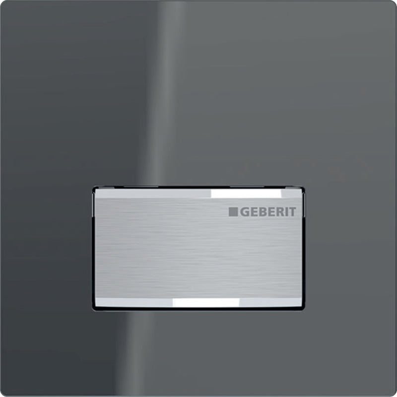 GEBERIT 116.016.JK.5 URINAL FLUSH CONTROL WITH PNEUMATIC FLUSH ACTUATION ACTUATOR PLATE TYPE 50 LAVA