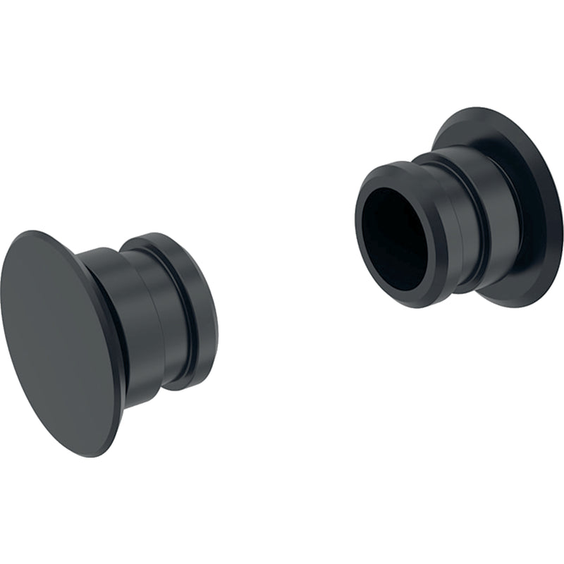 GEBERIT 243.042.JF.1 SET OF FIXING BOLTS MADE OF PLASTIC FOR GEBERIT MONOLITH SIDE CLADDING 2 PC. MID-GREY PEARL MICA