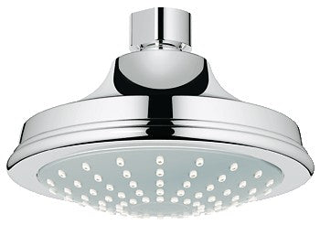 GROHE 28737 Euphoria Rustic Shower head