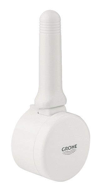 GROHE 46043 Ladylux Handle Assembly