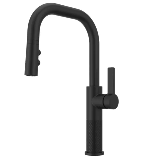 Pfister Montay 1-Handle Pull-Down Kitchen Faucet