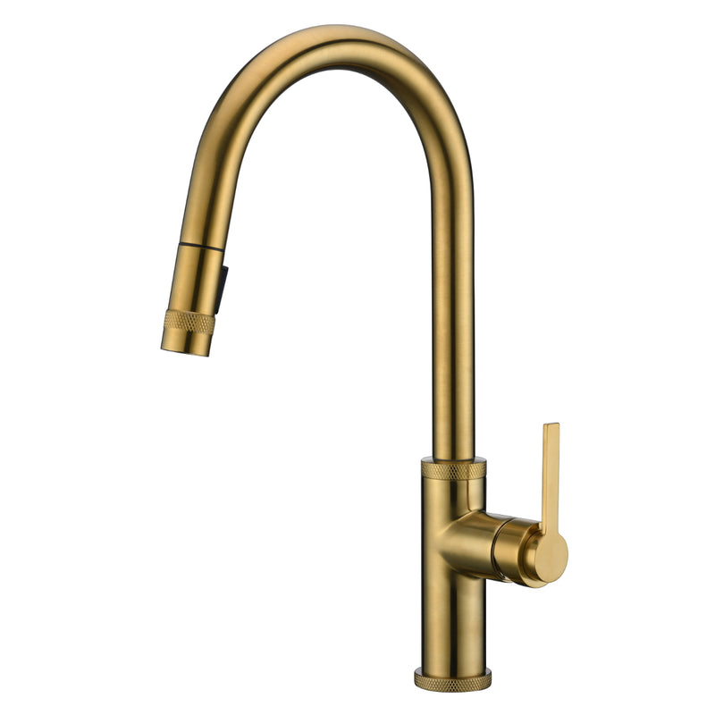 Empyrean Golden Night Pull-out Kitchen Faucet GK-20