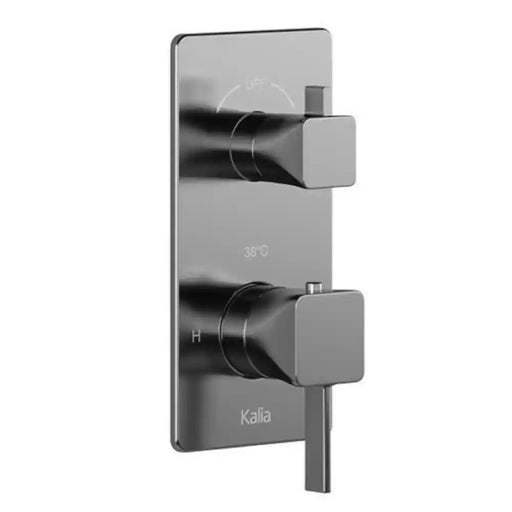 Kalia Square Decorative Trim For 2-Way Or 3-Way Type T/P 1/2" Valve With Diverter