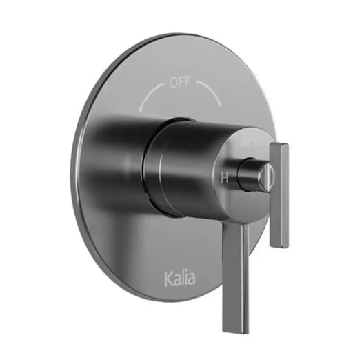 Kalia Round Decorative Trim For 2-Way Type T/P 1/2" Coaxial Valve With Diverter