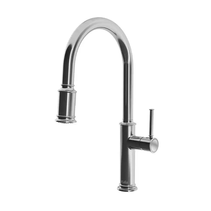 Kalia Okasion Diver Single Handle Kitchen Faucet Pull-Down Dual Spray