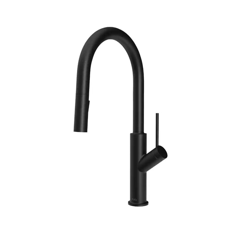 Kalia Karismatik Single Handle Kitchen Faucet Pull-Down Dual Spray