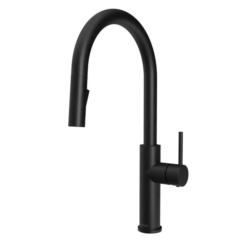 Kalia Specifik Single Handle Kitchen Faucet Pull-Down Dual Spray
