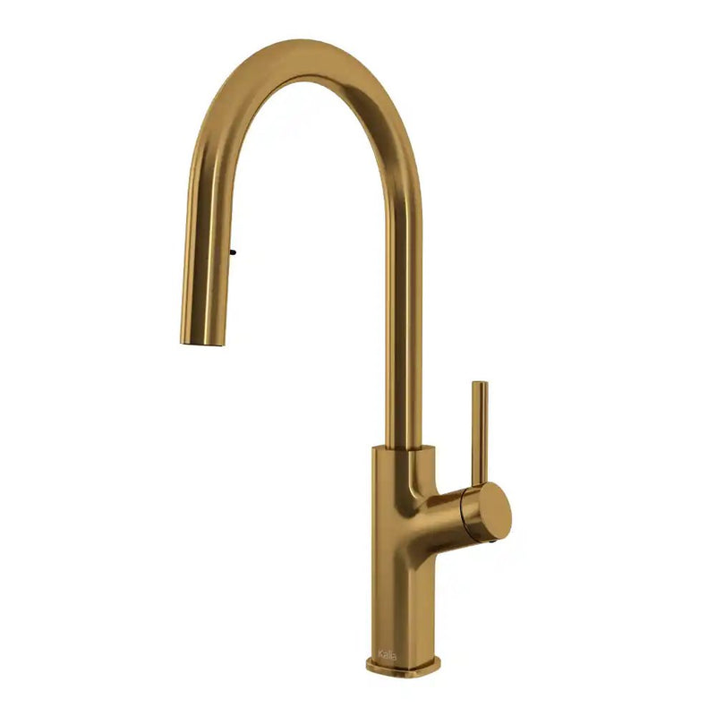 Kalia Masimo Diver Single Handle Kitchen Faucet Pull-Down Dual Spray