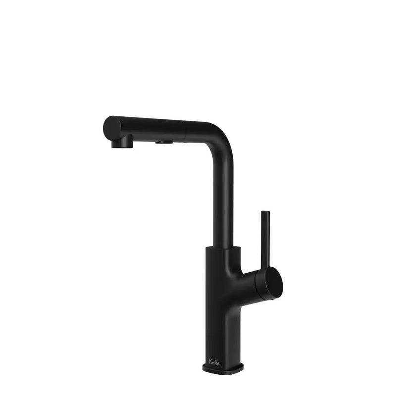 Kalia Masimo Surfer Single Handle Kitchen Faucet Pull-Out Dual Spray