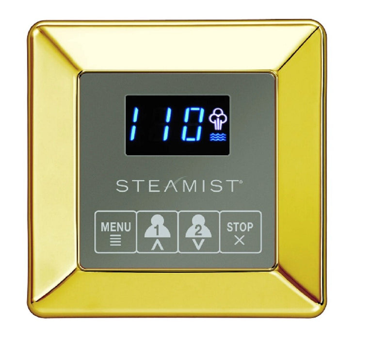 Steamist 250 TSC-250 TS Series Time Temp with IM