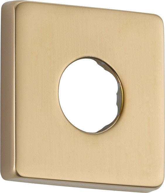 DELTA  RP51034 Shower Flange