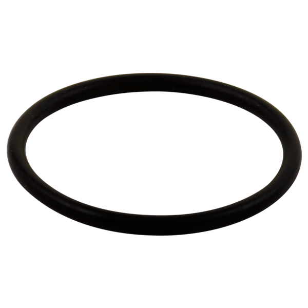 DELTA  RP23336 D/DS-LG O RING-ALL  MONITOR SE