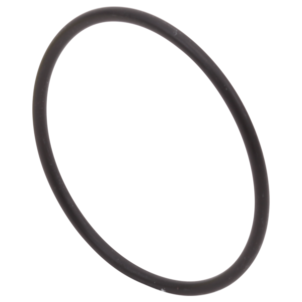 DELTA  RP26756 O RING