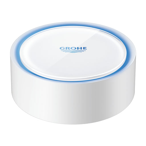 Grohe 22601 Sense Smart Water Sensor