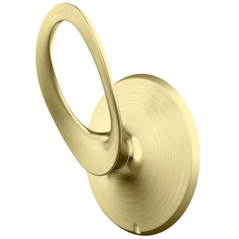 Pfister Rhen Robe Hook