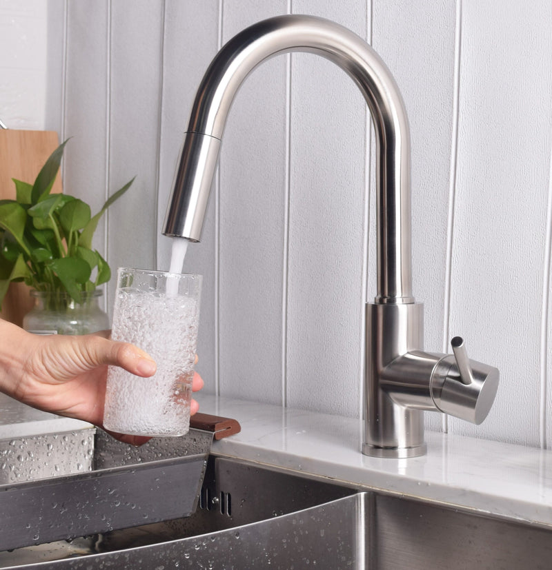 Bosco 200065 Kitchen Faucet