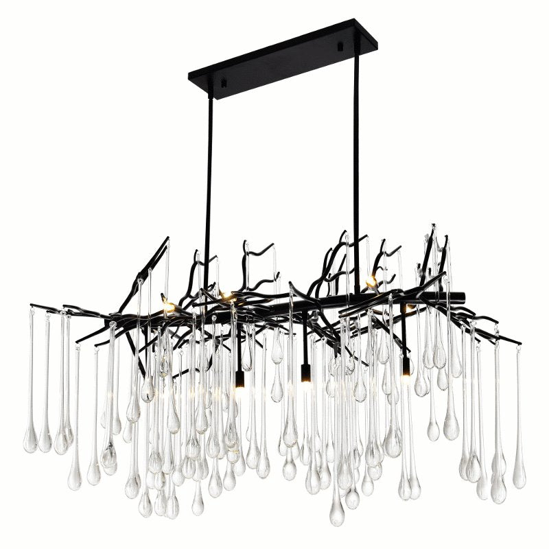 CWI Anita 10 Light Chandelier With Black Finish